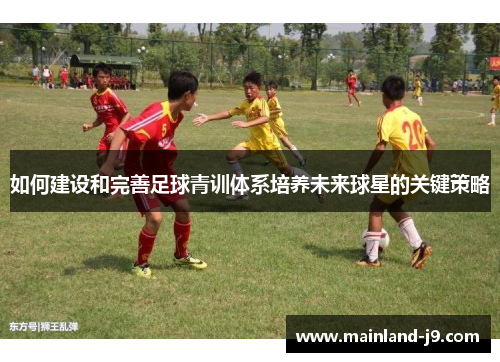 如何建设和完善足球青训体系培养未来球星的关键策略