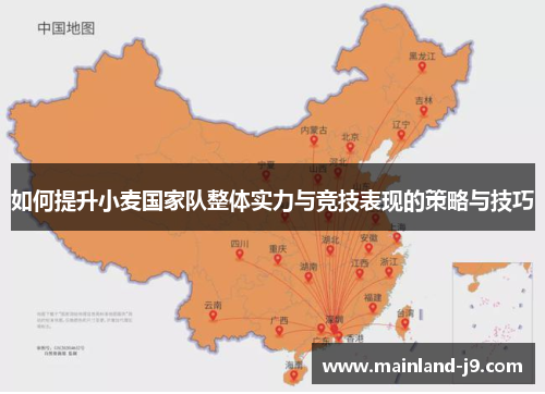 如何提升小麦国家队整体实力与竞技表现的策略与技巧