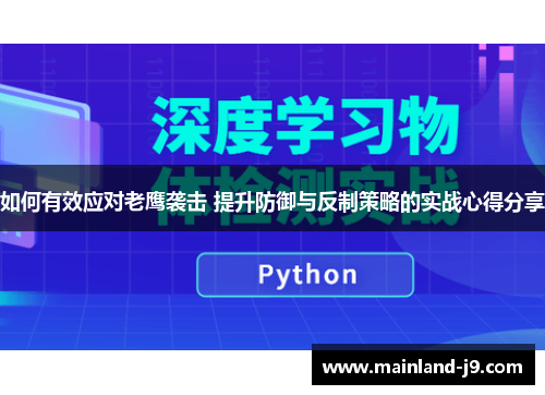 如何有效应对老鹰袭击 提升防御与反制策略的实战心得分享