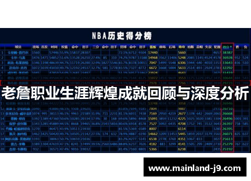 老詹职业生涯辉煌成就回顾与深度分析