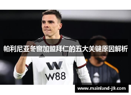 帕利尼亚冬窗加盟拜仁的五大关键原因解析