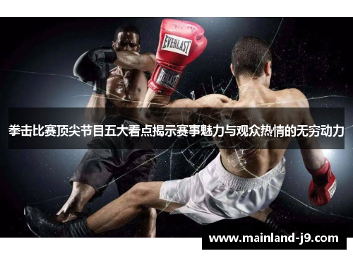 拳击比赛顶尖节目五大看点揭示赛事魅力与观众热情的无穷动力