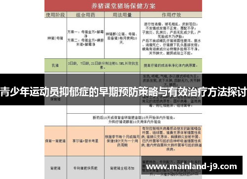 青少年运动员抑郁症的早期预防策略与有效治疗方法探讨